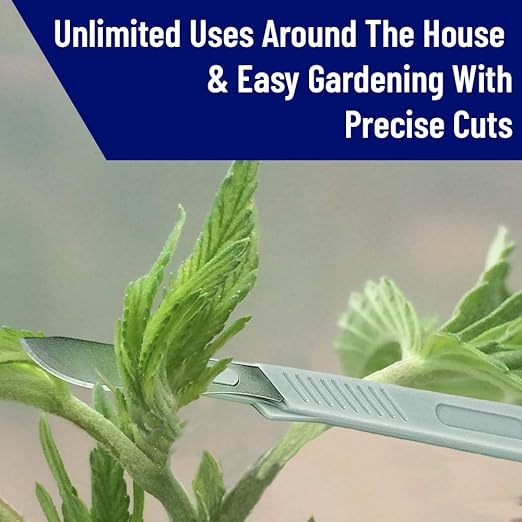 Disposable Scalpel #10 and #11 Scalpel Blades, Pack of 10 Dermaplaning Blades w. Plastic Handle, Carbon Steel Dermablade Blades Individually Wrapped 5x10 Blade and 5x11 Blade, Sterile