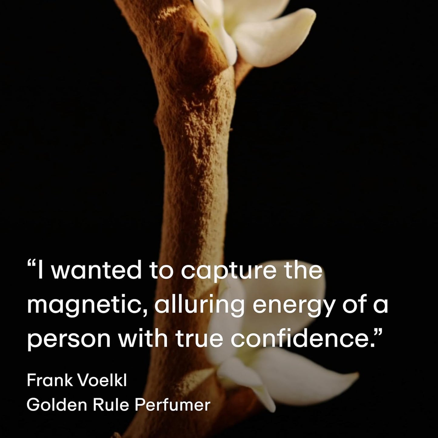 PHLUR Golden Rule Eau de Parfum - Full Size Perfume for Women & Men Fragrance - Fruity Floral Perfume with Mandarin, Pink Pepper, Pear, Jasmine, Coconut Milk, Sandalwood & Vanilla Cream (50mL)