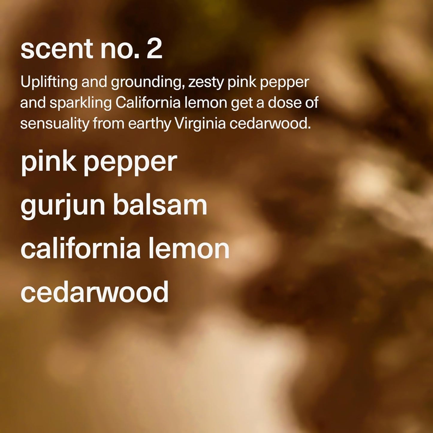 Maude No. 2 Bathtime Bundle - Soak Mineral Bath Salts with Hand-Harvested Dead Sea Salt Crystals and Vitamins (8 oz) + pH Balanced Gentle Body Wash Bubble Bath with Vitamin B3, B5, C, and E (12 oz)