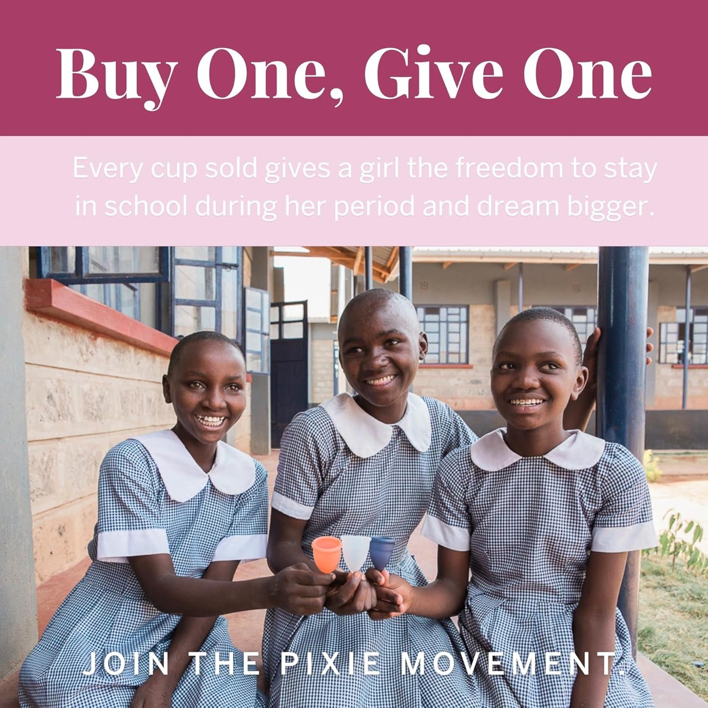 Pixie Menstrual Cup - No Metals or Toxins - Ranked 1 for The Most Soft Reusable Period Cup - Wear 12 Hours - 100% Medical-Grade Silicone - Tampon Alternative (Plum, Large)