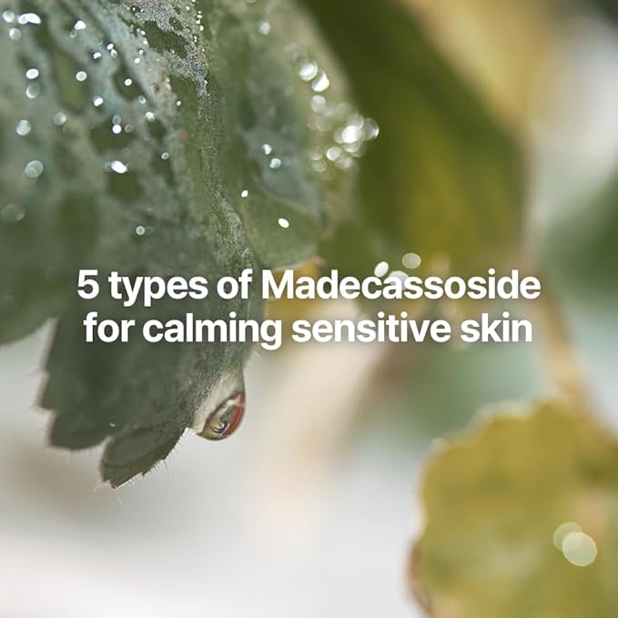 [PKY] Pyunkang Yul Calming Skincare Gift Set with Premium Gift Wrapping, Instantly Calms Sensitive Skin,vegan, Korean Skincare (3-item set)