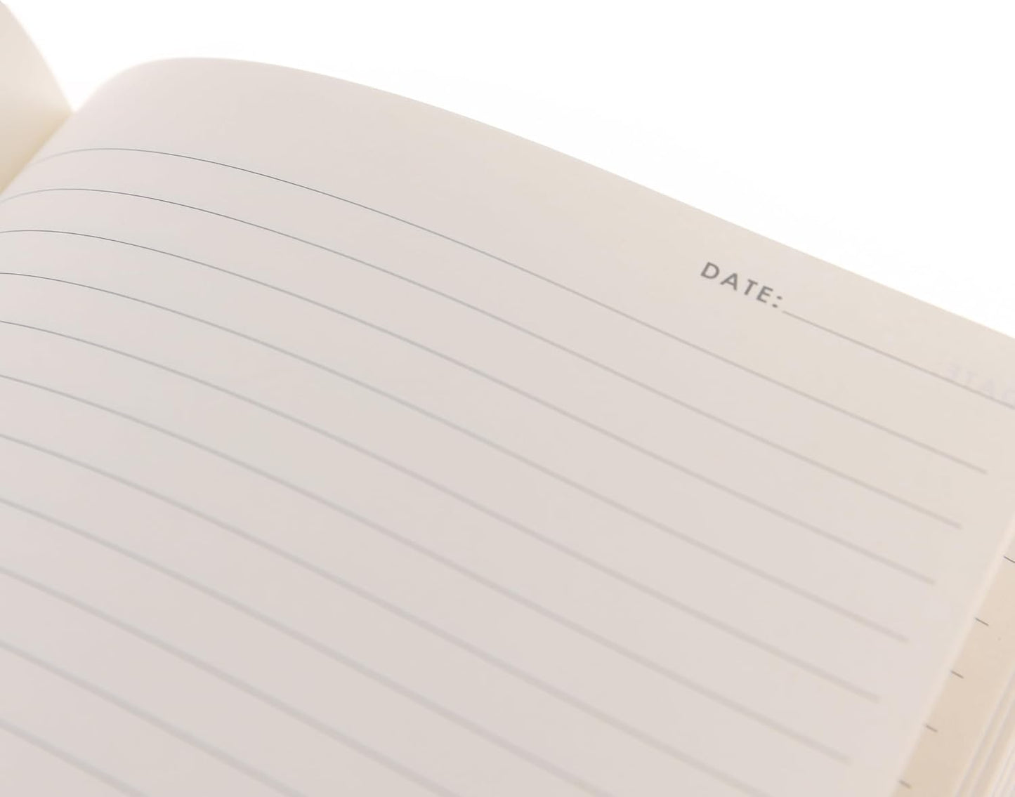 Graphique Pretty Bow Vegan Leather Journal, Diary Notebook for Writing, 192 Lined Pages, La Petite Press Collection, 6” x 8”