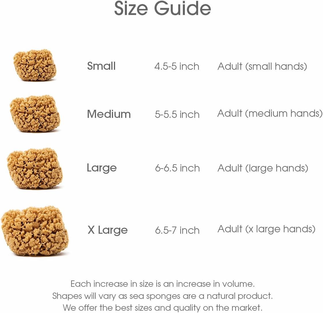 Naroa Massage Natural Shower Sponge | Unbleached Body Scrubber Puff | Bath Sea Loofah for Healthy Skin | Sustainable Plastic Free (Small)