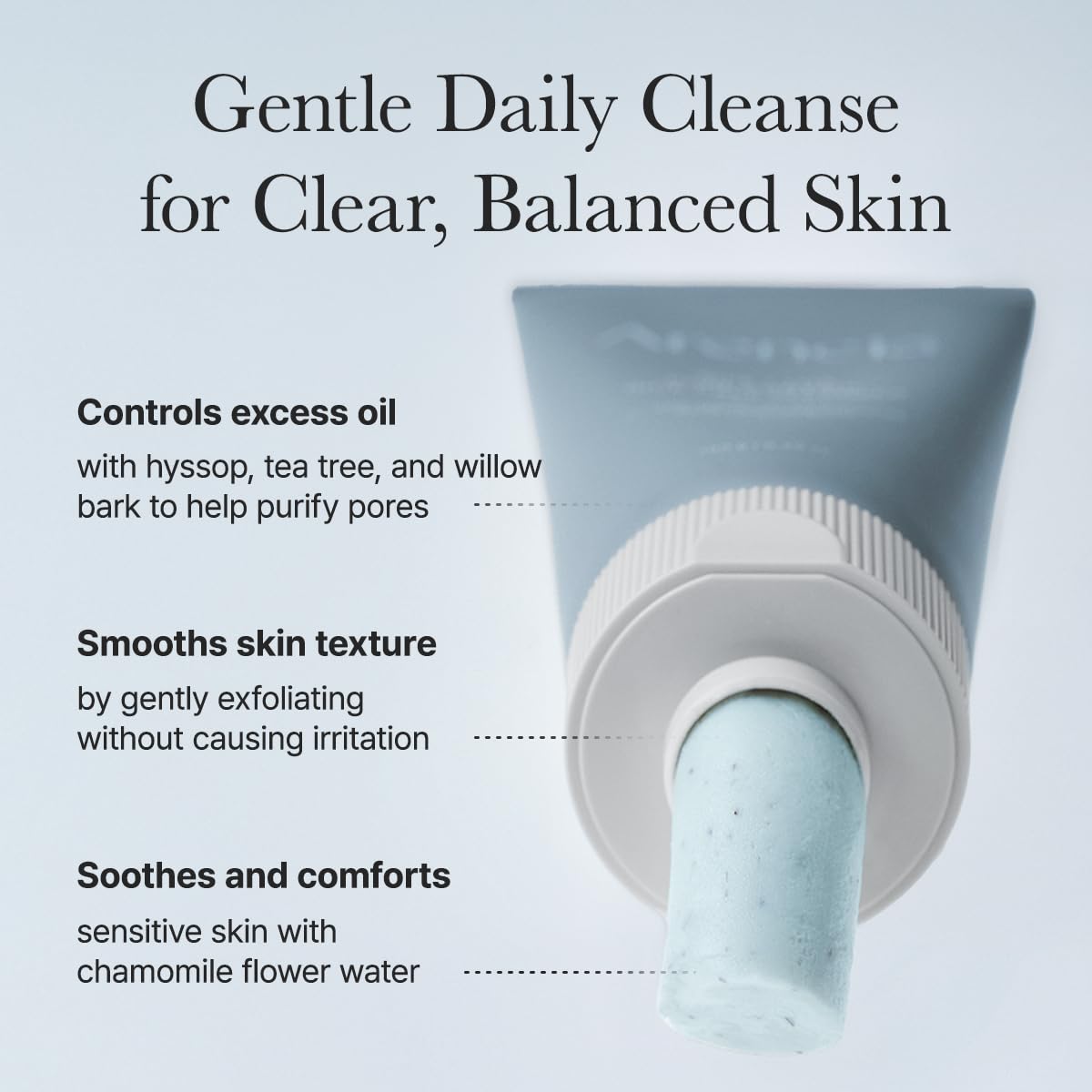 Hyssop Sebum Control Rice Cake Cleanser, 5.29 oz, AHA Tea Tree Face Wash for Oily Combination Skin