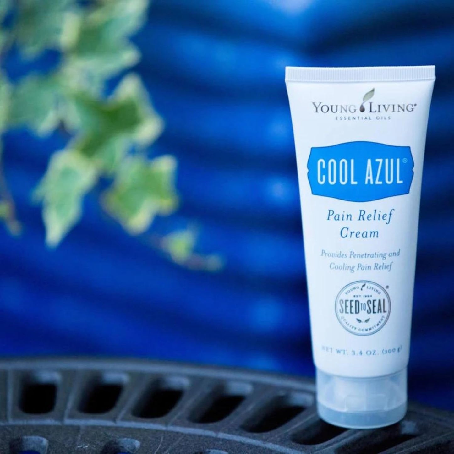 Young Living Cool Azul Pain Relief Cream - Cooling Blend of Menthol with Wintergreen and Peppermint Essential Oils - Invigorating Scent, Aloe-Infused - Methyl Salicylate - 3.4 oz