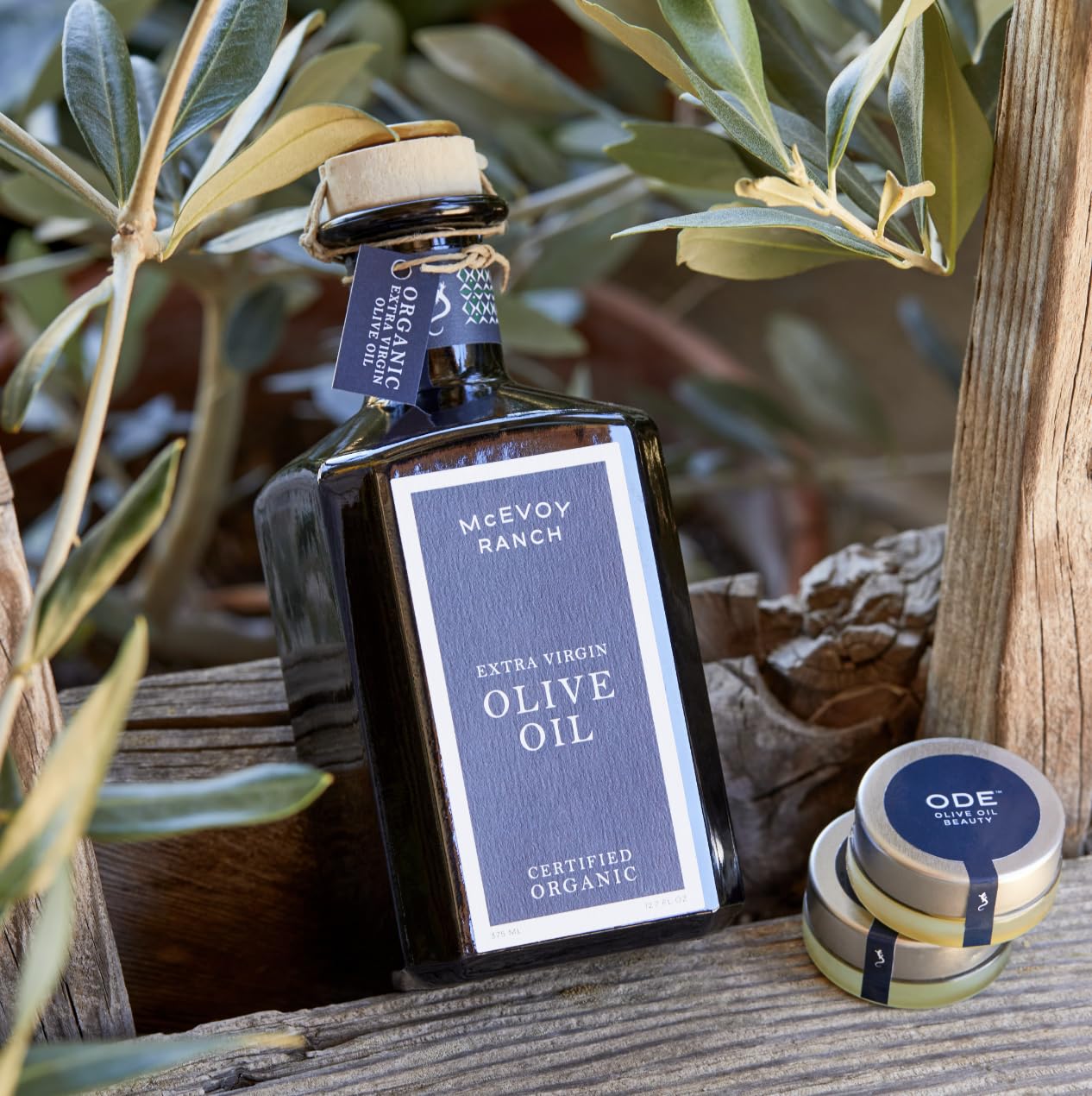 Olive Oil Lip Balm (3-pack) by ODE Olive Oil Beauty, Organic EVOO, California Made