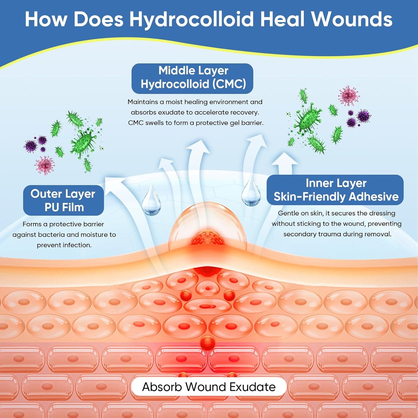 Hydrocolloid Roll for Wound Care, Cut-to-Size, Extra Large Hydrocolloid Tape Patch Bandages with Self-Adhesive, Ultra Absorbent, Flexible & Waterproof, First Aid Kit Essential (2in*12ft)