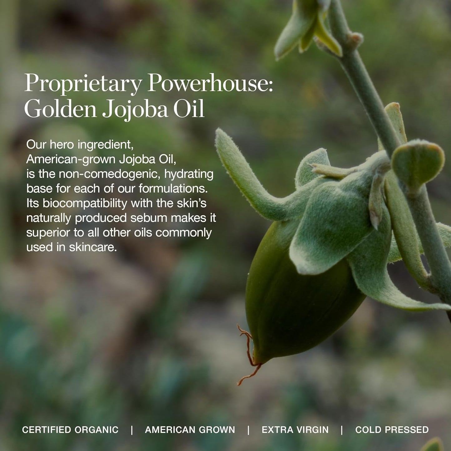 Ogee Complexion Perfecting Under Eye Concealer - Certified Organic Full Coverage Concealer - Buildable Coverage - ACACIA 12.25N - Deep (Red Undertones)