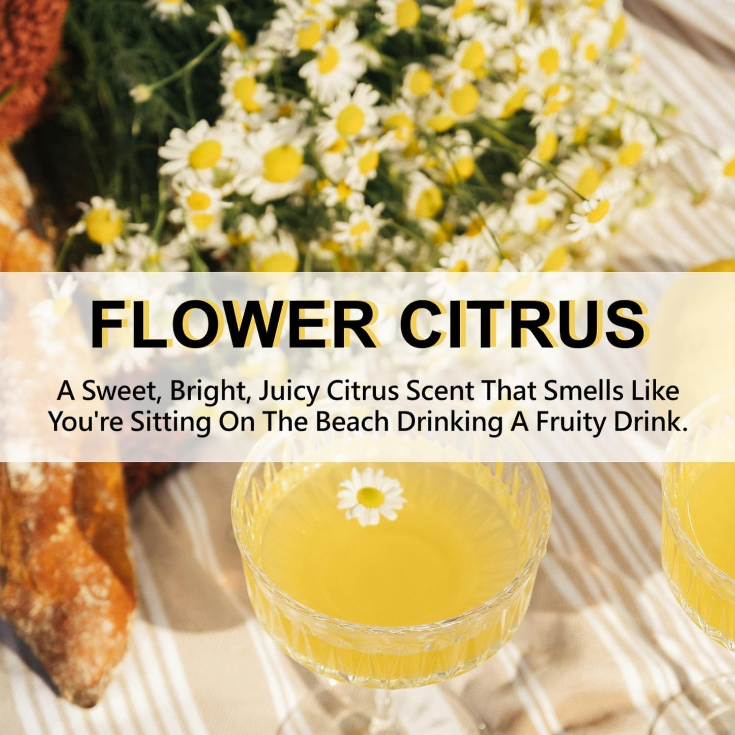 Large 12 Packs Flower Citrus Hanging Closet Air Freshener Scented Sachets Long Lasting Smell Goods