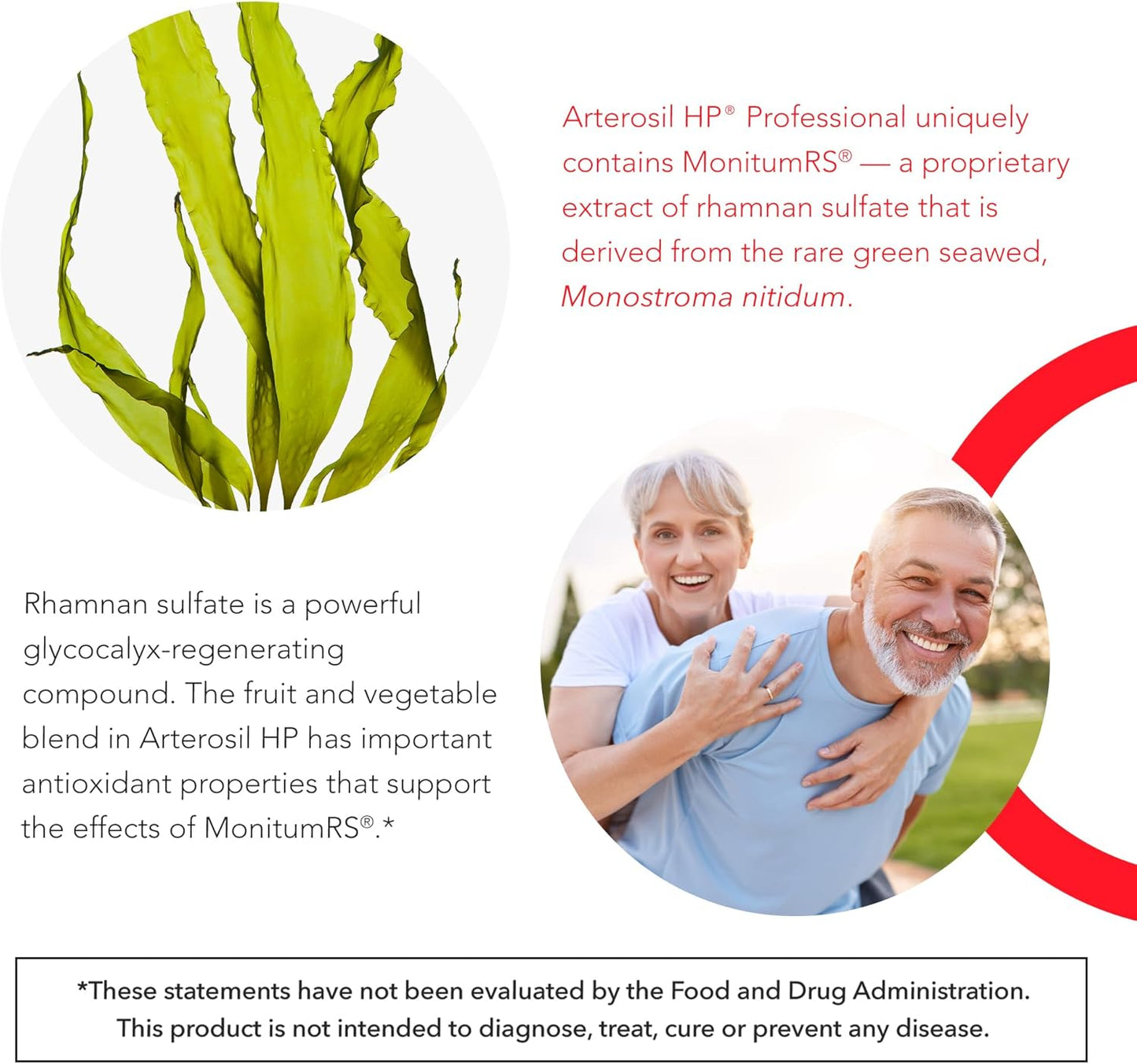 Arterosil HP Professional - Endothelial Glycocalyx Support - Heart Health Support - Artery Health Support - Circulation Support – MonitumRS® Rhamnan Sulfate - Monostroma Nitidum