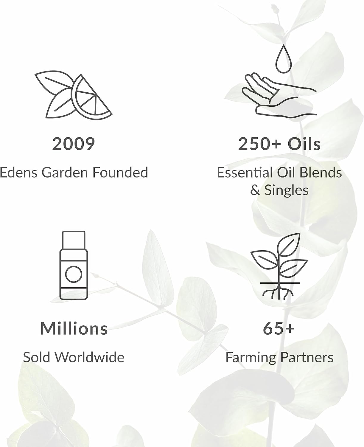 Edens Garden Forgiveness & Healing Essential Oil Roll-On Blend- 100% Pure Premium Grade, Natural, Therapeutic, Aromatherapy, Kid & Skin Safe, The Best for Gifts, Tension Pre-Diluted 10 ml (.33 fl oz)