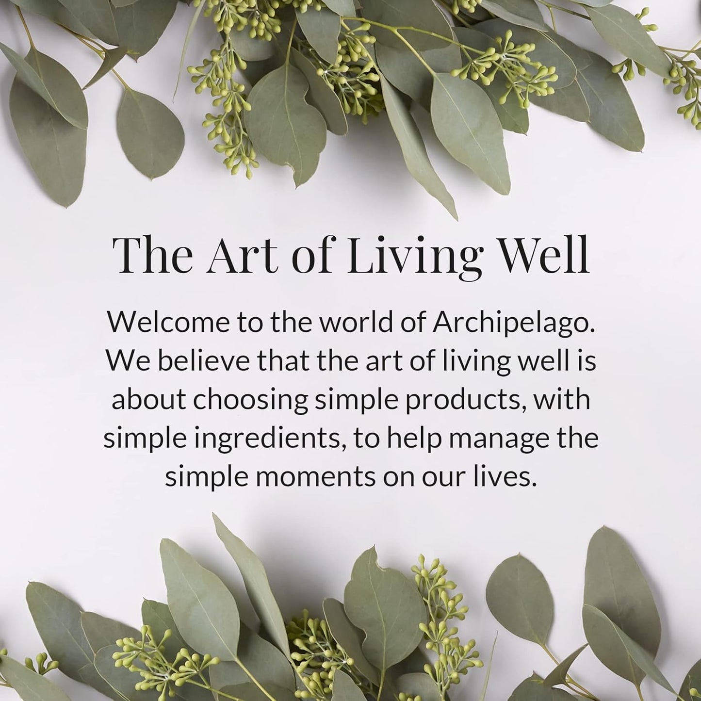 Archipelago Botanicals Botanico De Havana Lotion, Moisturizing Sugar Cane Pineapple & Orange Body Lotion for Soft, Healthy Skin, Paraben Free, Phthalate Free, 15.3 oz