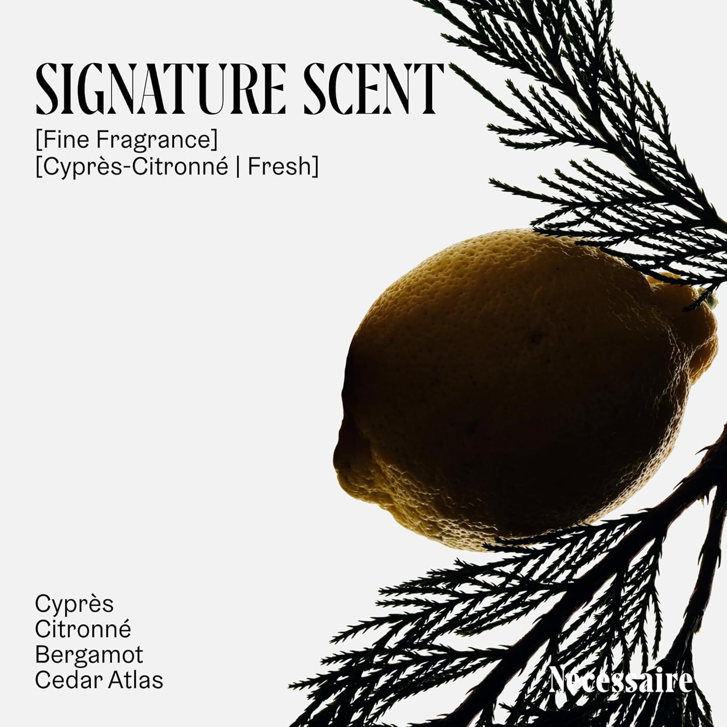 Nécessaire The Body Wash Cyprès-Citronné — Multi-Oil Shower Gel Cleanser for Women + Men — Non-Comedogenic Body Wash with Niacinamide. 500ml/16.9 fl oz