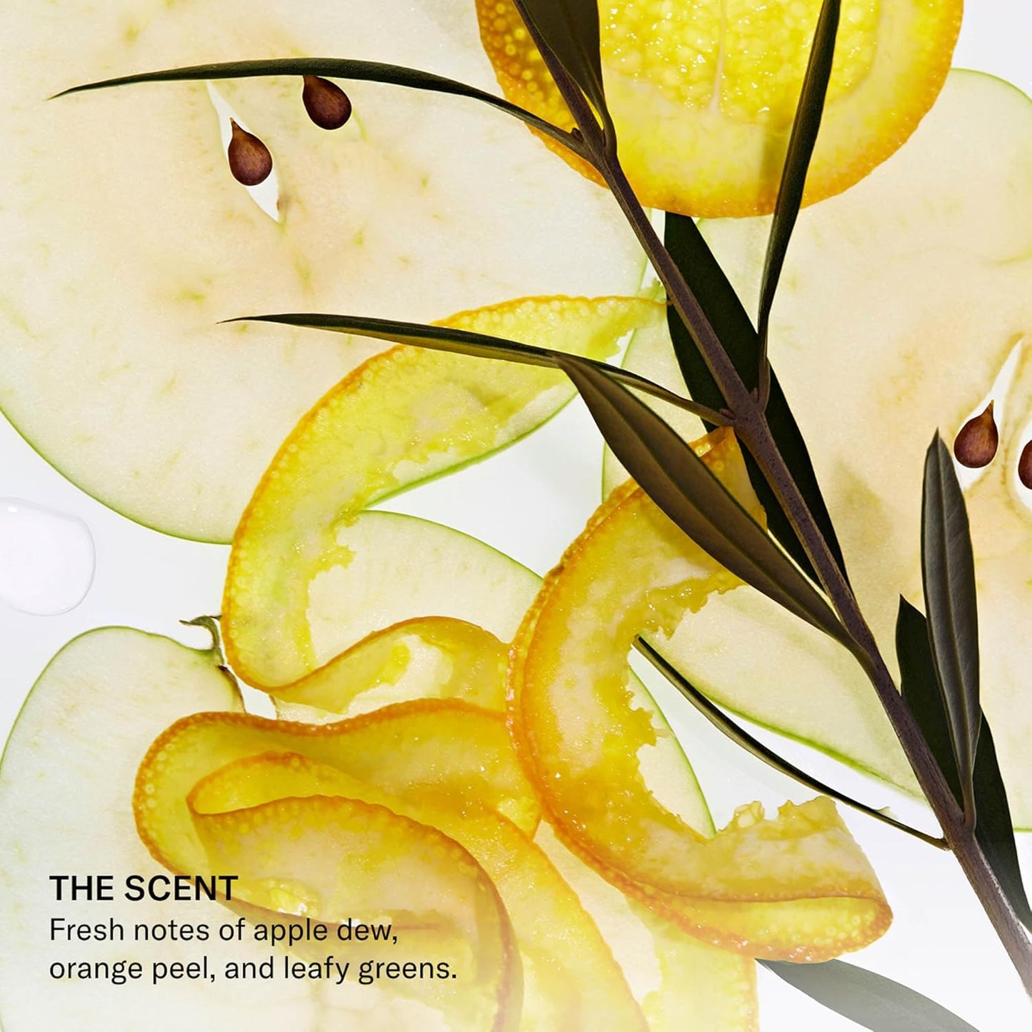 SEEN Body Wash -Scented- Non-Comedogenic & Non-Irritating Body Wash- Dermatologist-Developed - Safe for Sensitive & Acne Prone Skin