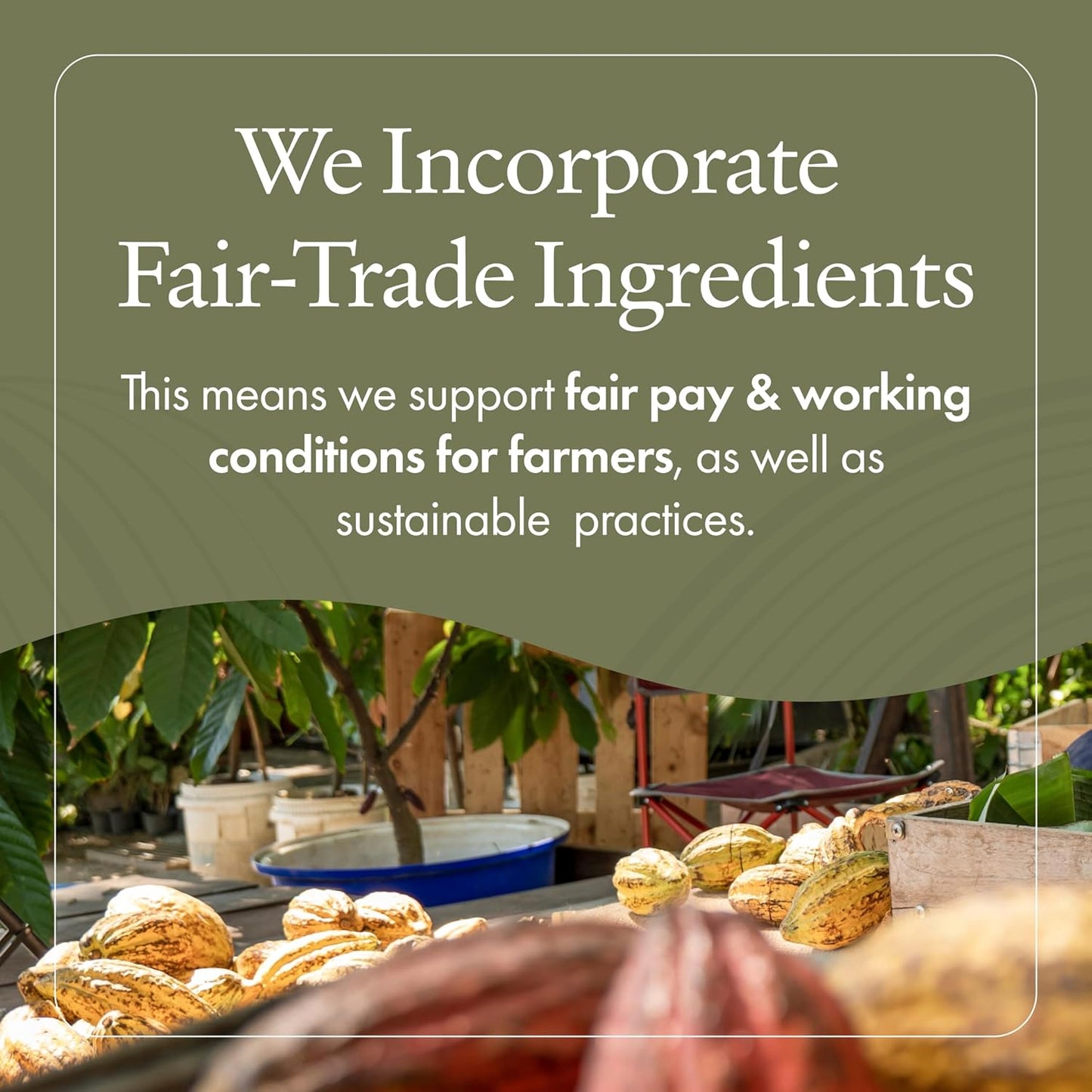 emerginC Scientific Organics Spirulina Toner - Gentle + Effective Toner for Face with Plant Stem Cells + Witch Hazel (4 oz, 120 ml)