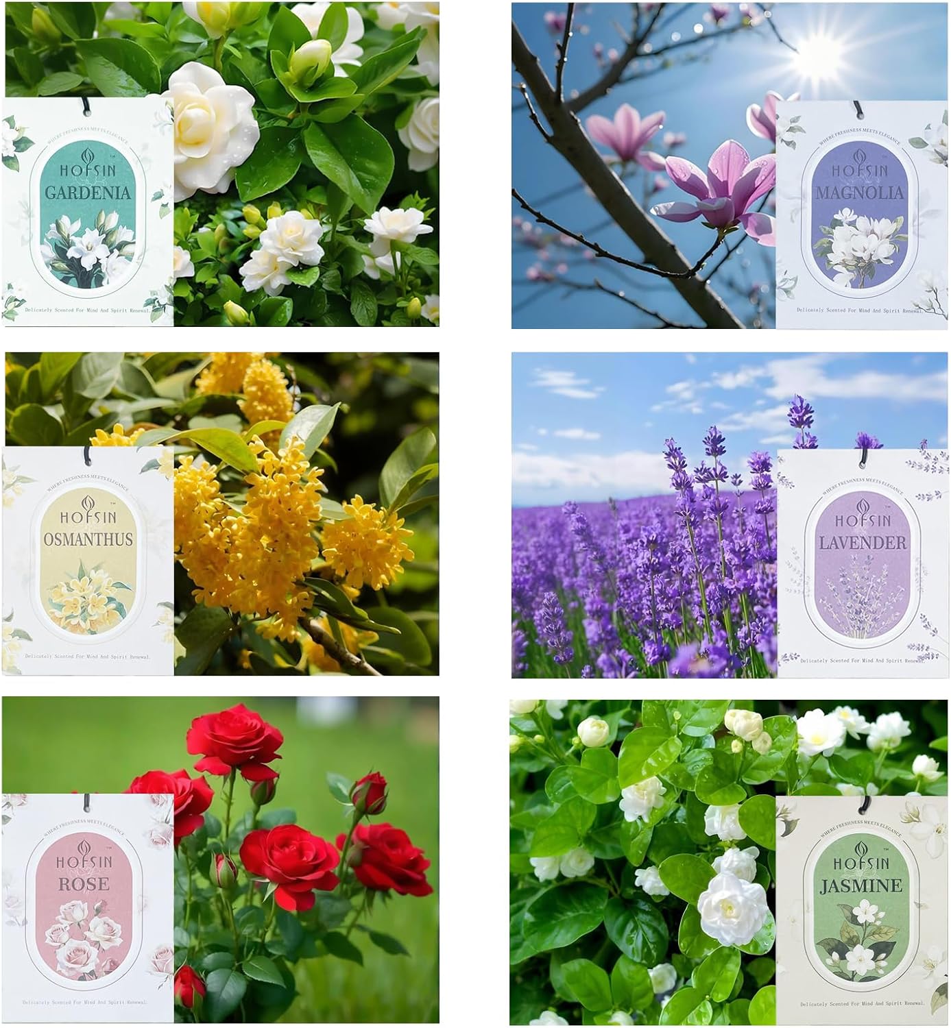 12 Packs Fragrance Bags with Hanging Strings, Air Freshener Deodorizer for Closet and Drawer,6 Scents Option- Lavender,Magnolia,Jasmine,Rose,Osmanthus,Gardenia (Gardenia)