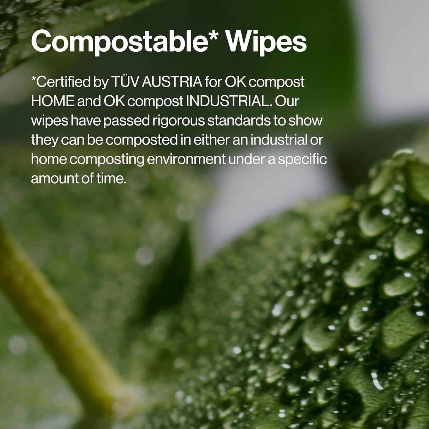 Honest Beauty Fragrance Free Cleansing Makeup Remover Facial Wipes | Plant Based, Hypoallergenic, Gentle for Sensitive Skin | 30 Count