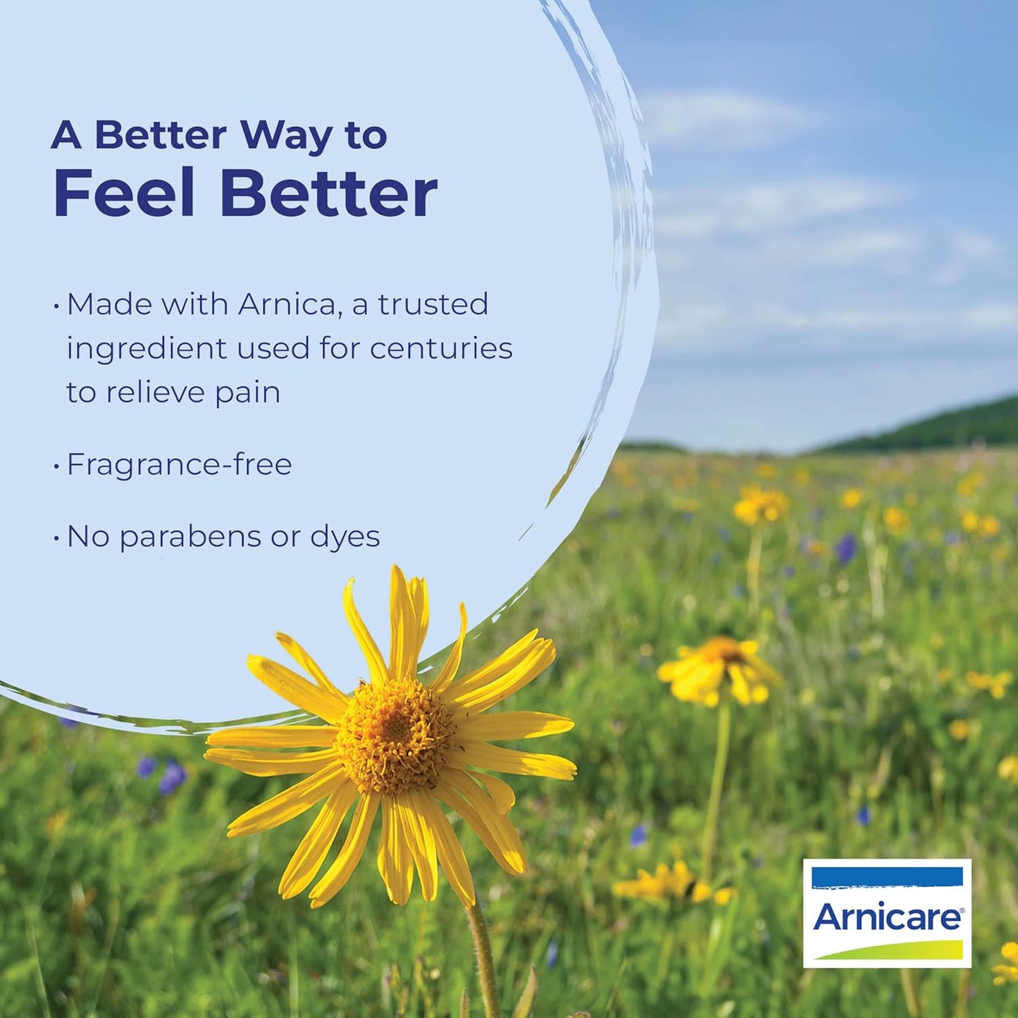 Boiron - Arnicare Gel Pain Relief - 4.2 oz.