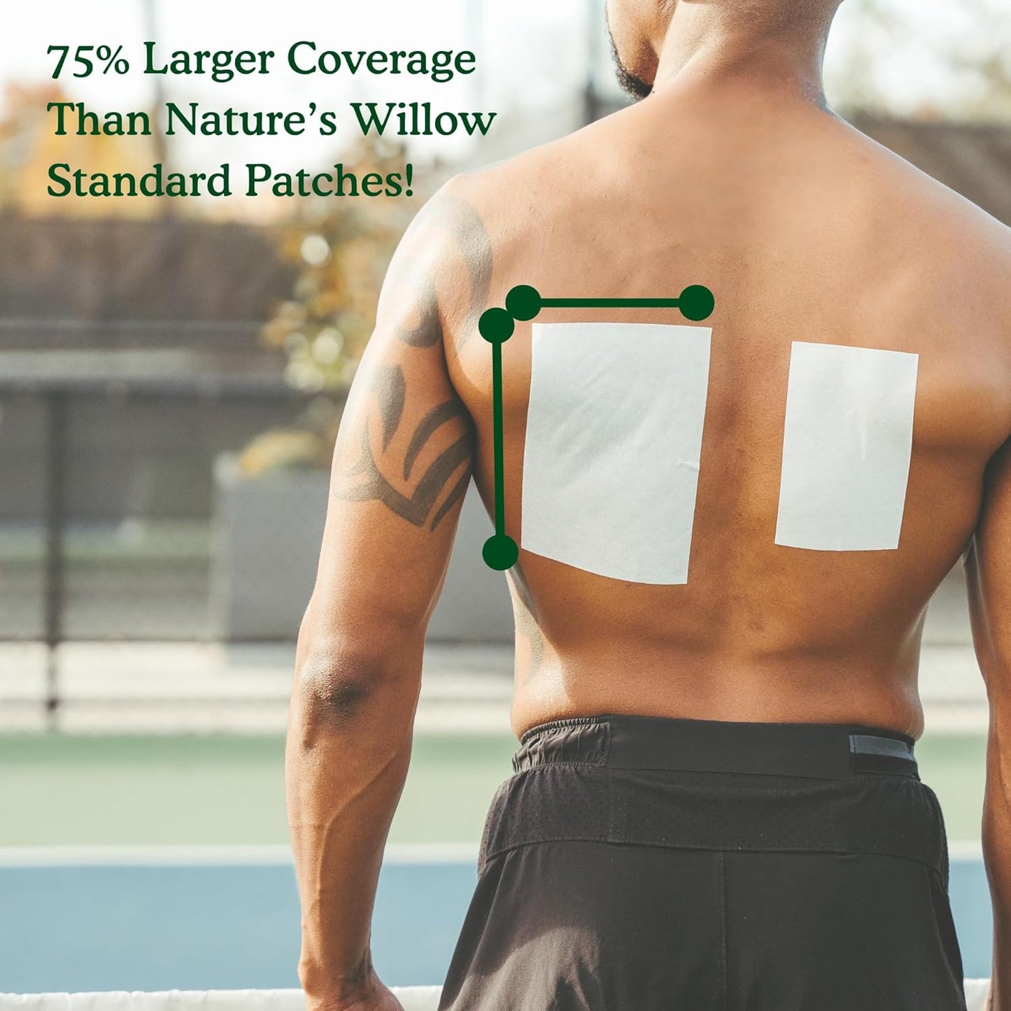 Nature's Willow XL Natural Pain Relief Patches for Muscles & Joints | Fast-Acting with White Willow Bark | Free from Artificial Fragrances & Dyes | 18 XL Patches (3-Pack)