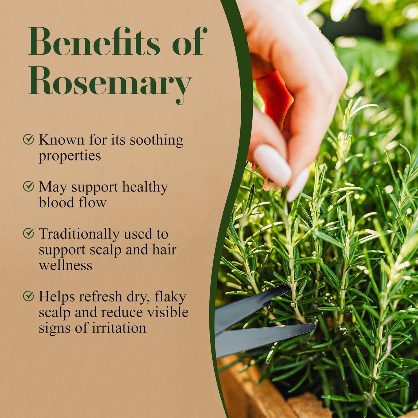 Rosemary Hair Growth Scalp Spray